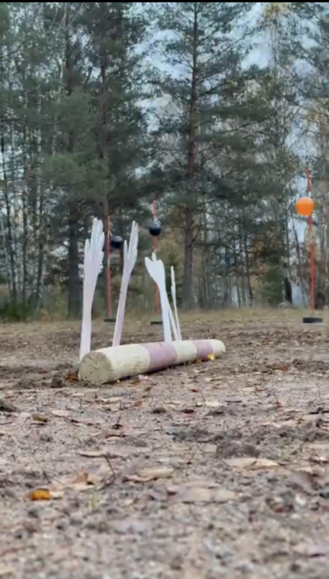 38ad5cca-9456-4737-a561-57c3d9927ce6