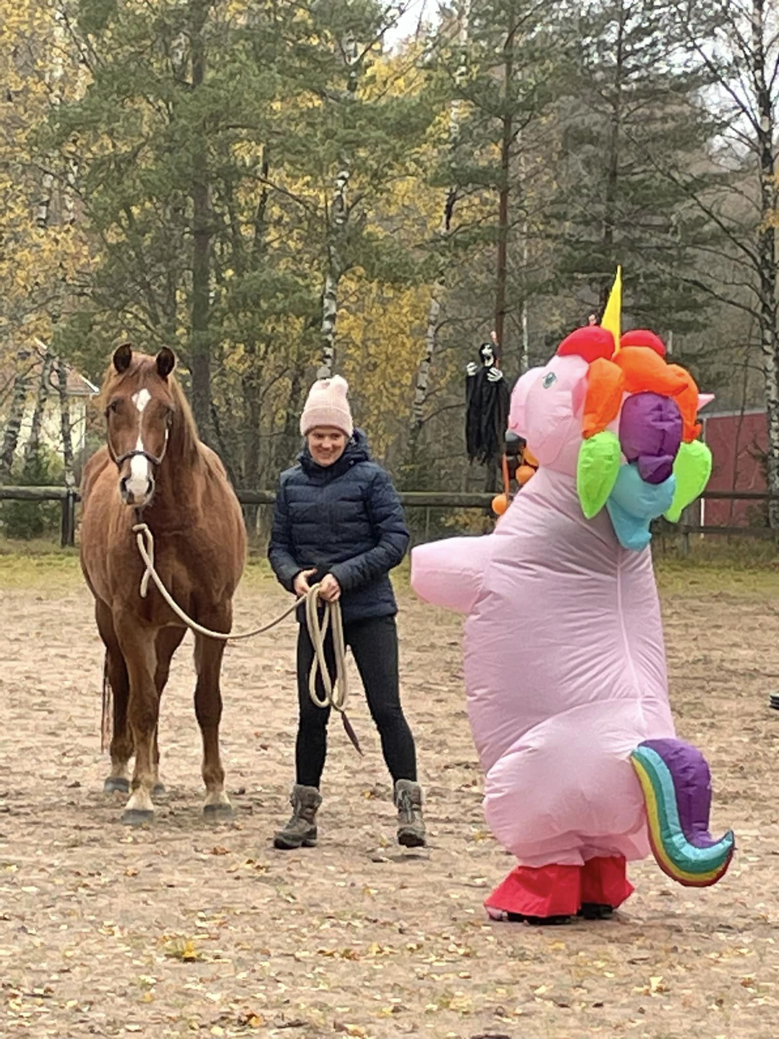 398777483_7068033273248708_6030828737067346867_n