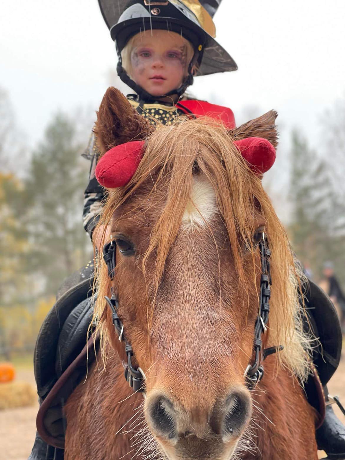 398828046_7068006303251405_6747062700570603943_n