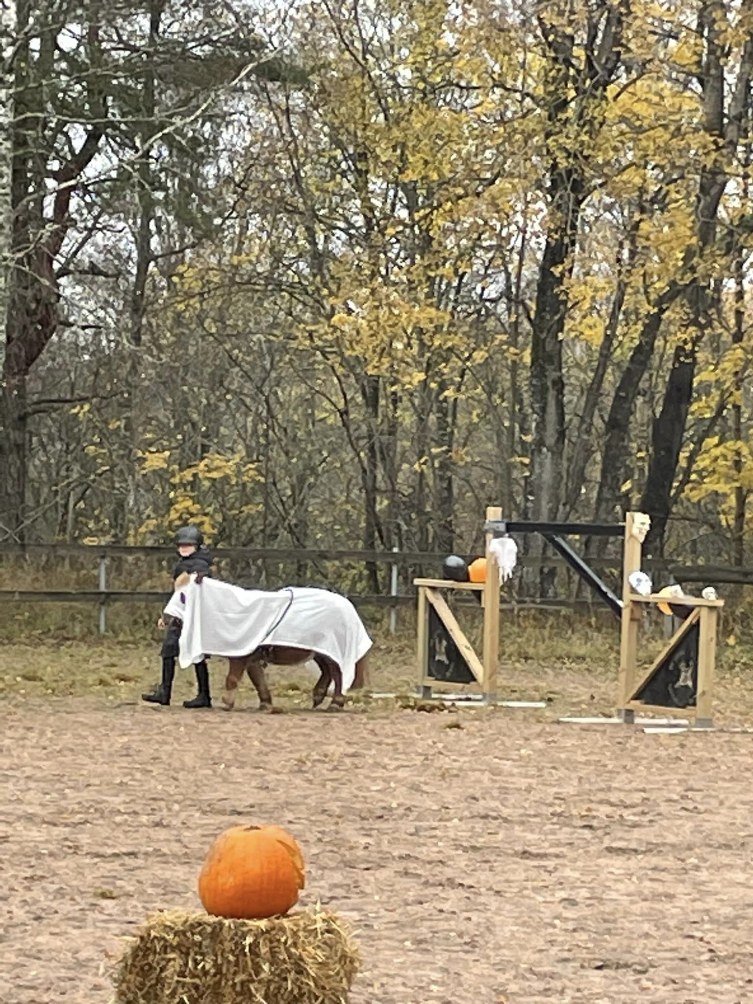 398974040_7068032739915428_8136829551811432156_n