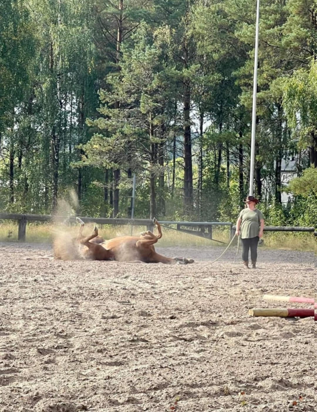 3d51d061-fe88-4eb1-b34b-7fcc741192fe