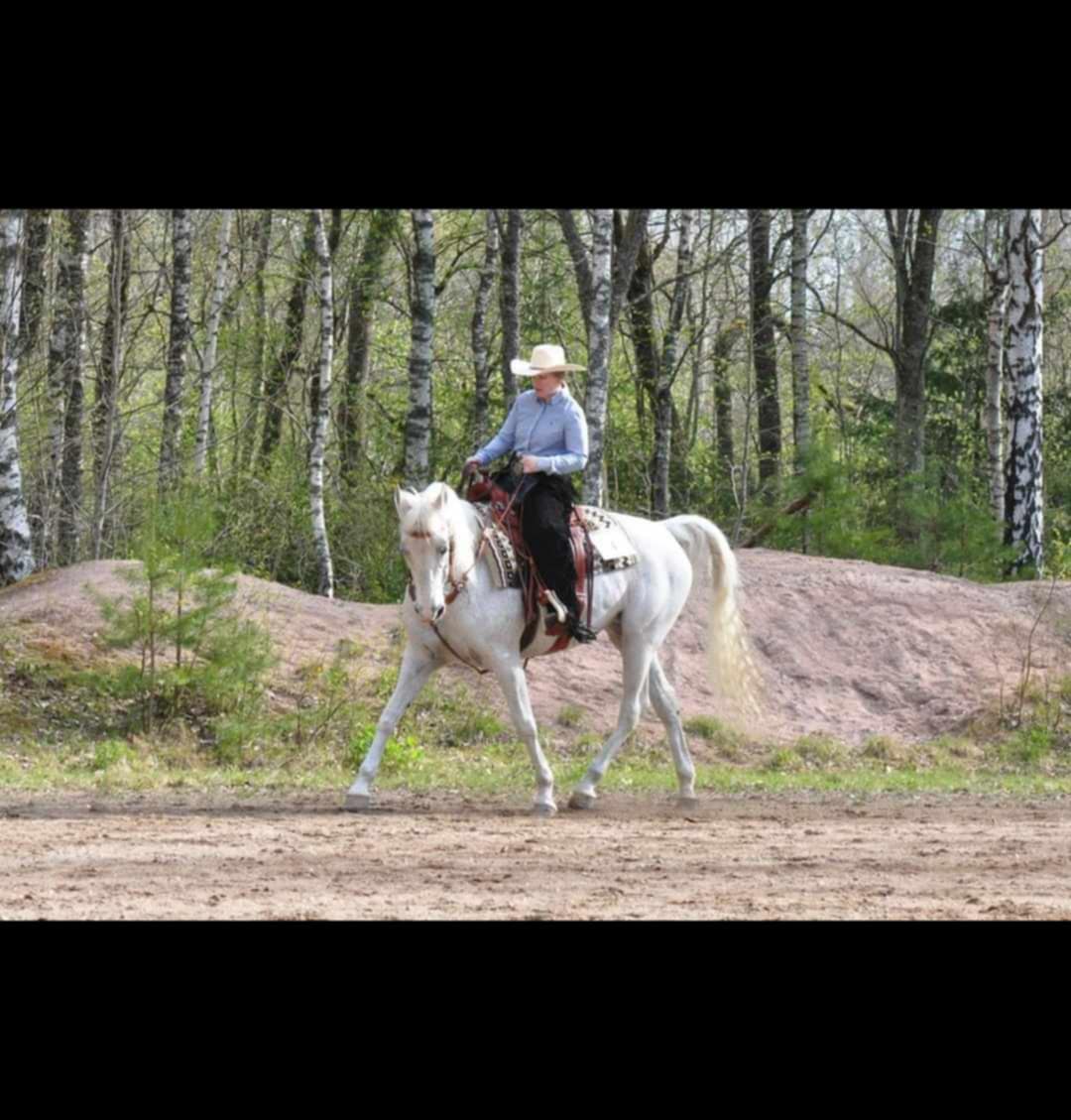 40b61b89-291c-4769-9665-bb2c6bddd4f7