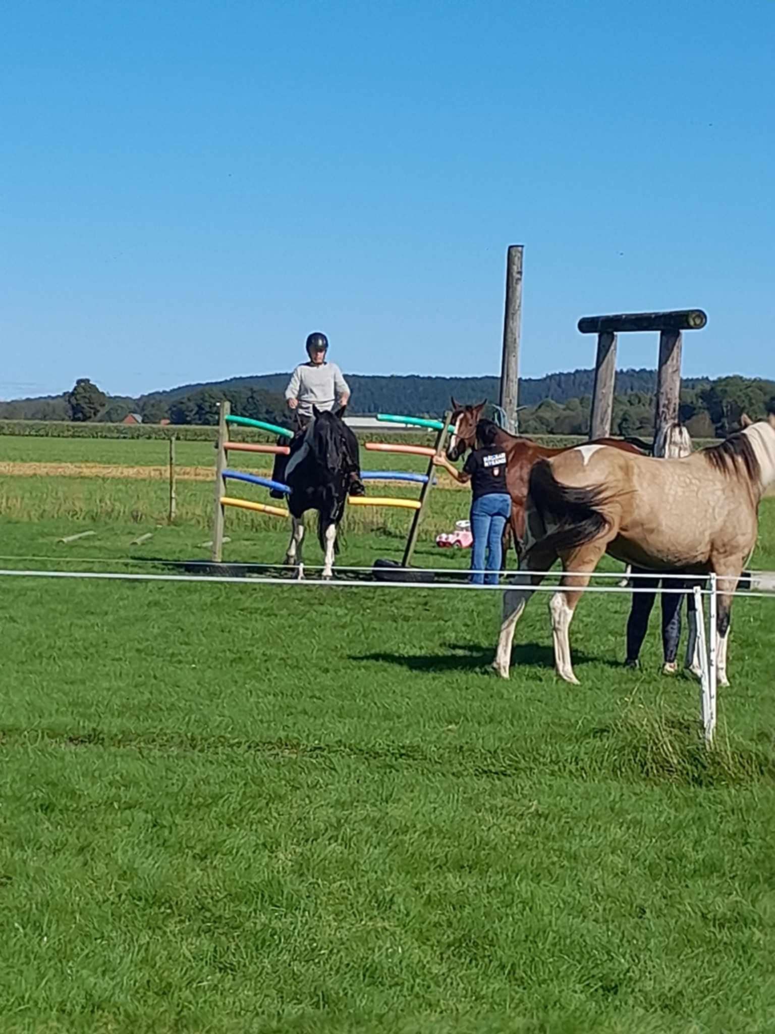 4168eb5e-ee10-422e-97e8-d0d6c1f0741f