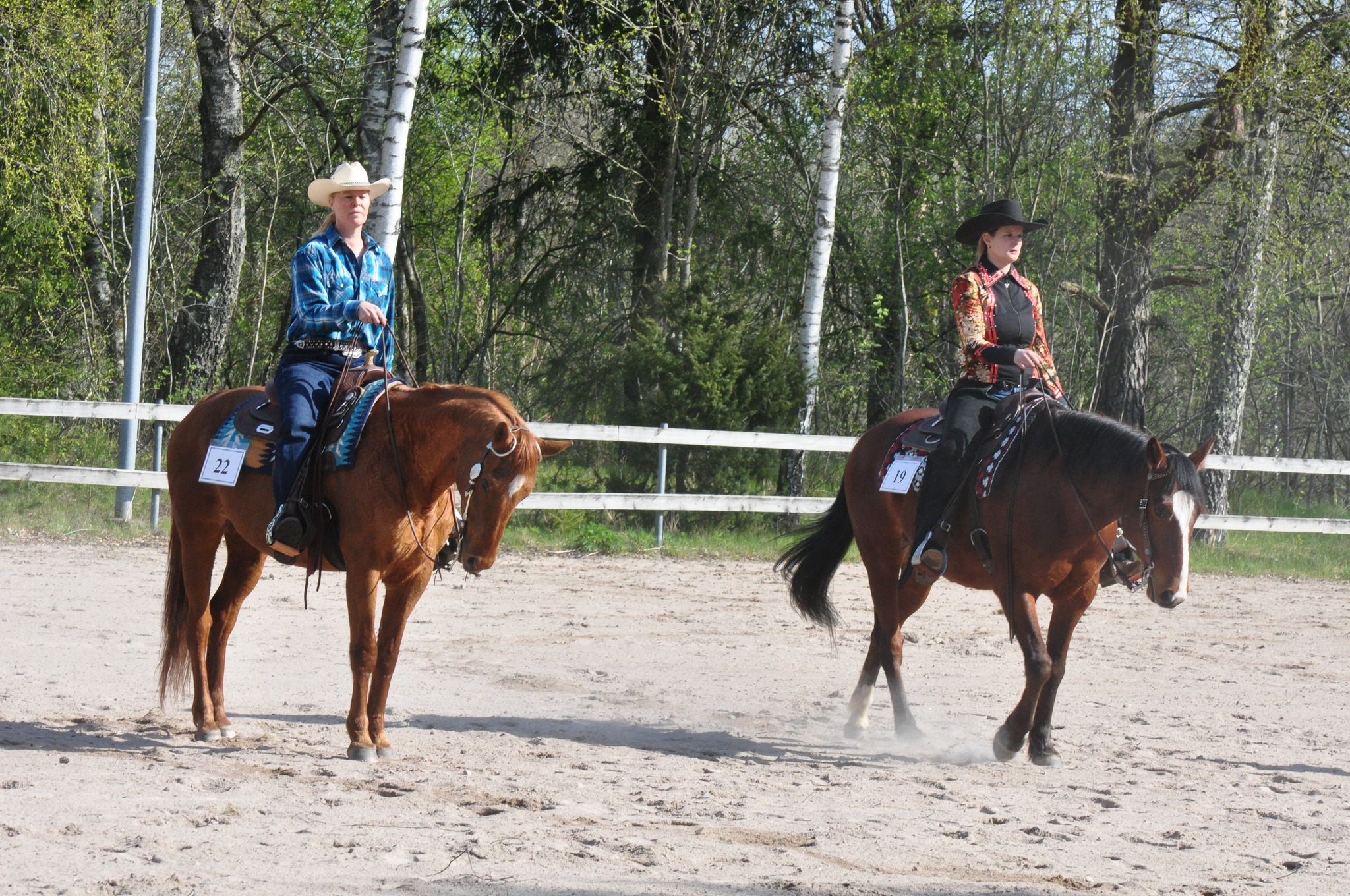 438159509_432642569516377_6732928708515374347_n