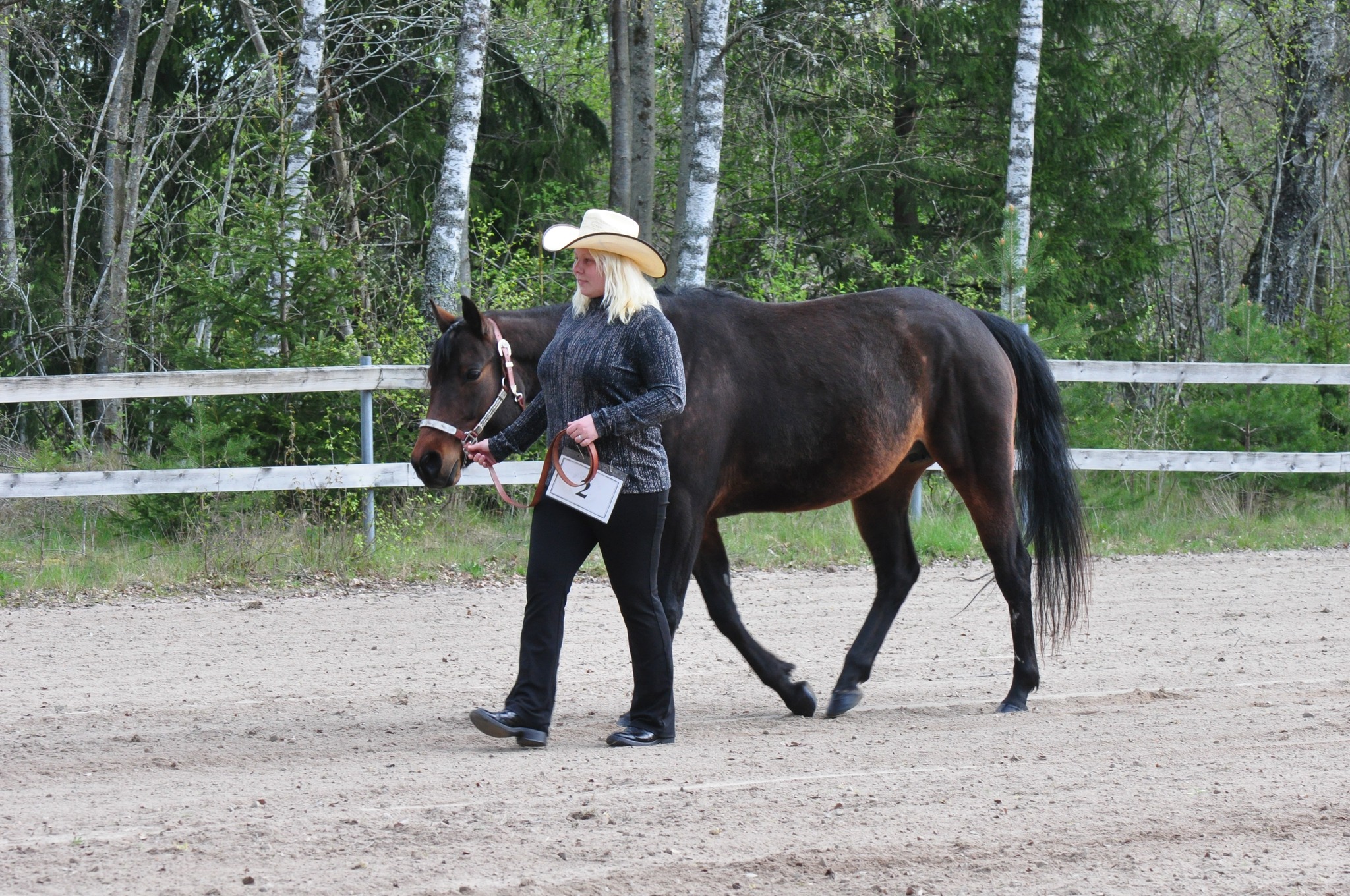 438164864_432641859516448_5252906722669729517_n