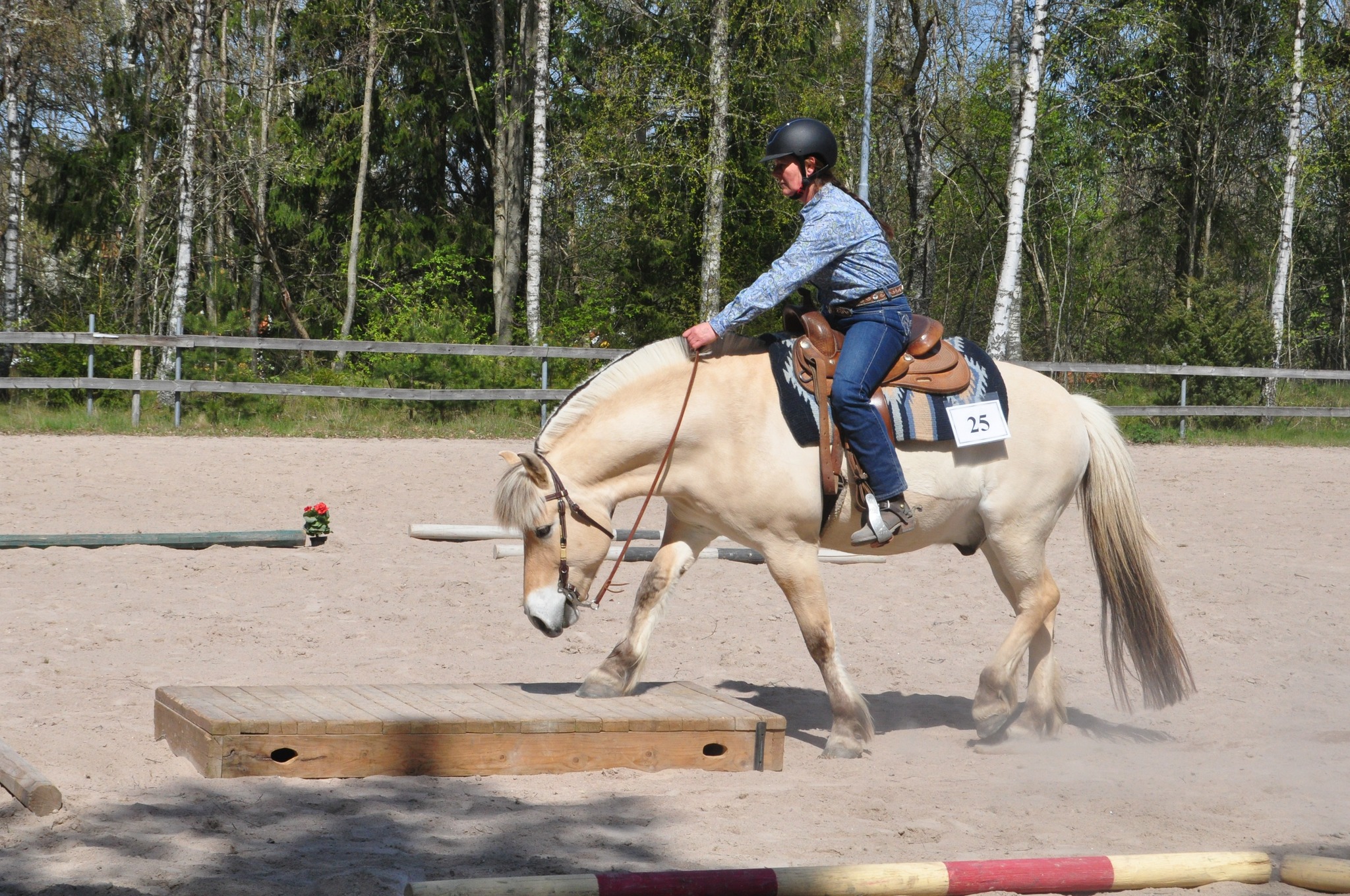 441075449_432642466183054_2234762926803869812_n