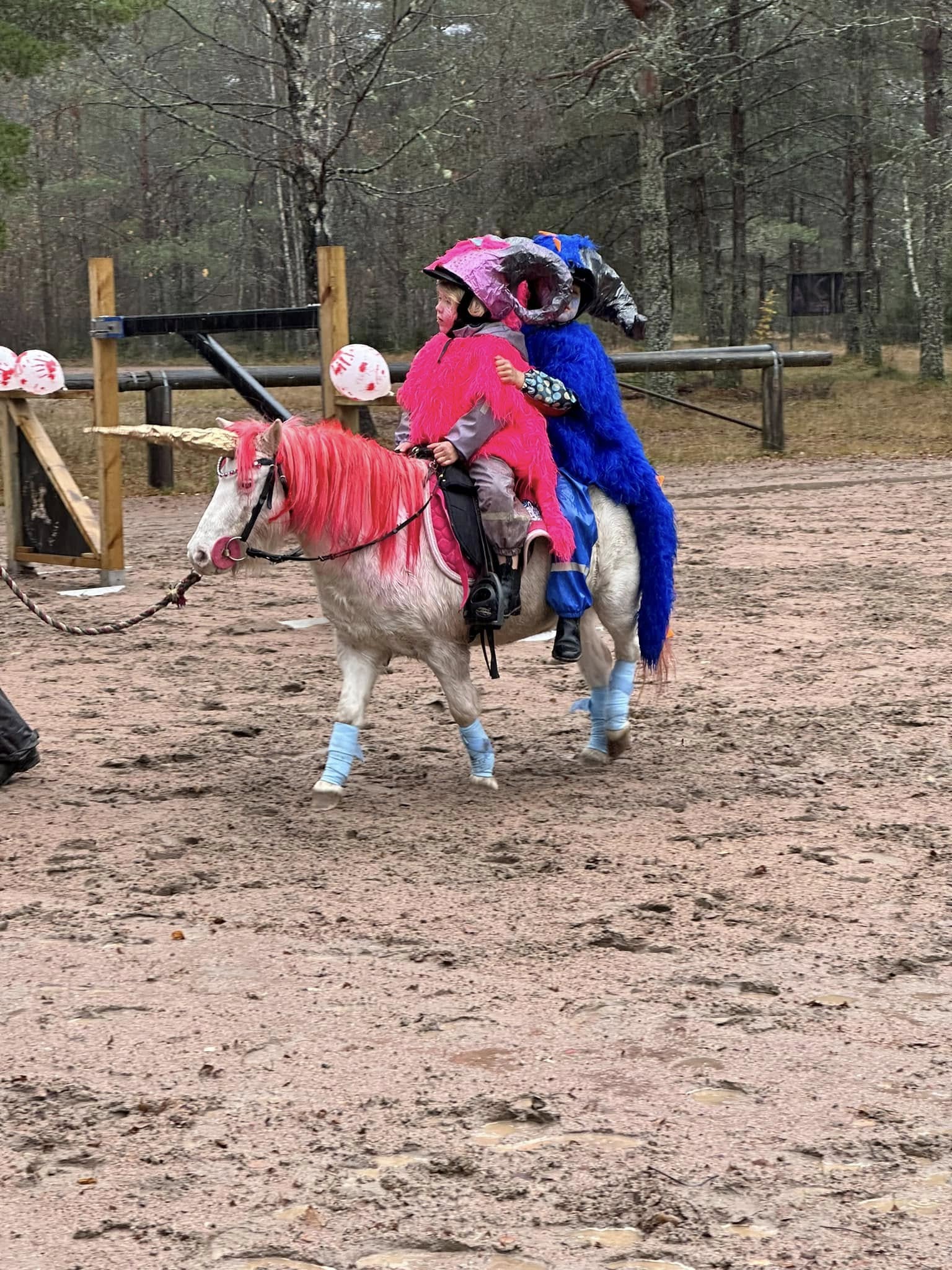 464801416_10159764329395793_8081146335327289328_n