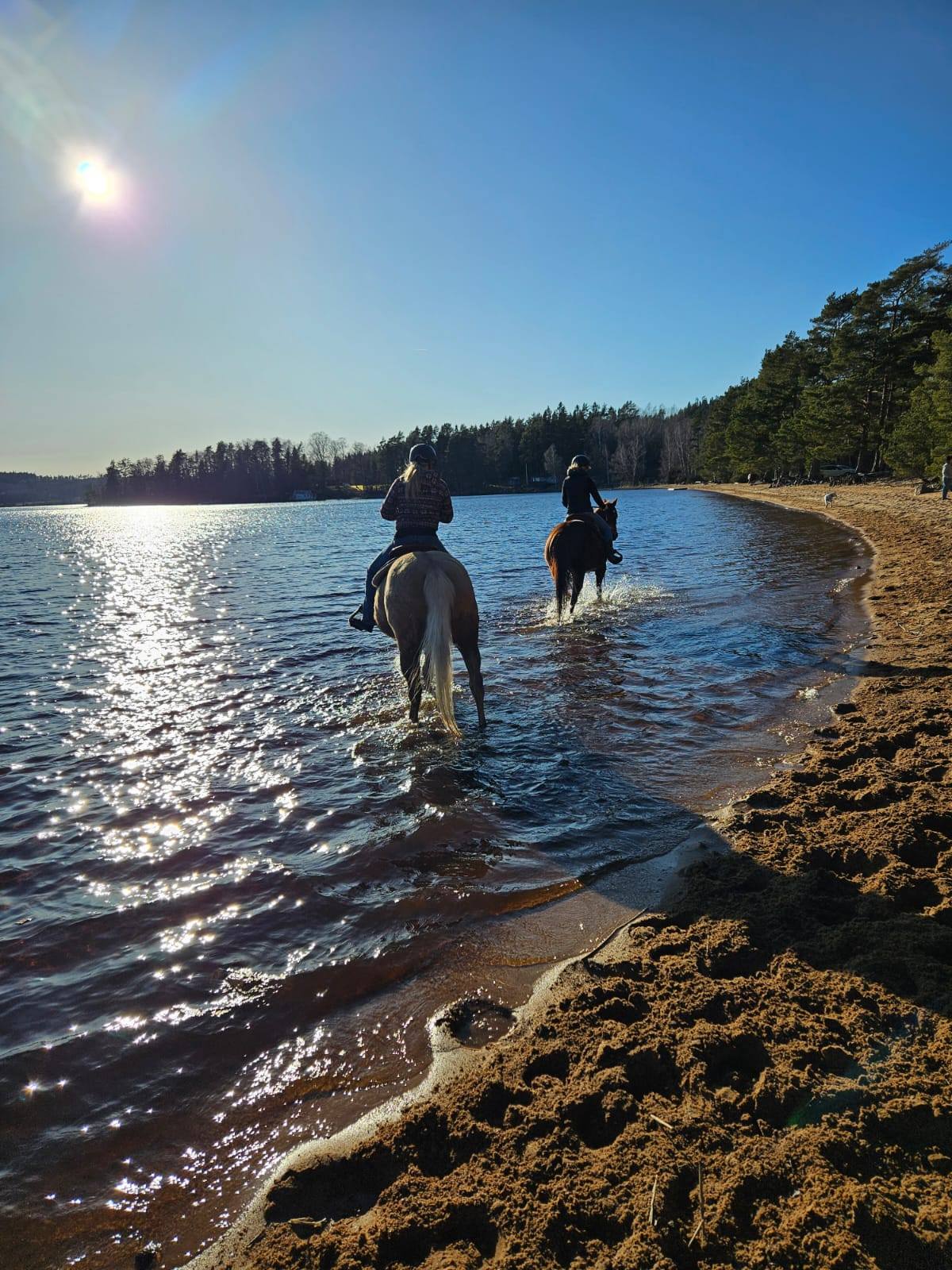 488657187_10236163916627164_4876981746333549420_n