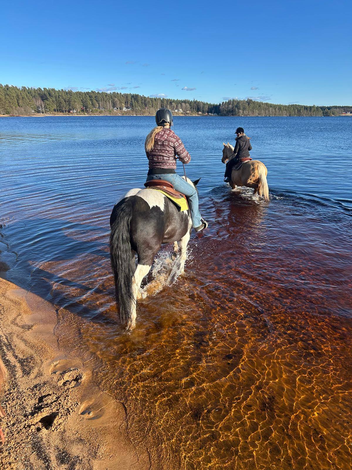 488931185_10236163917427184_1551016289068169073_n