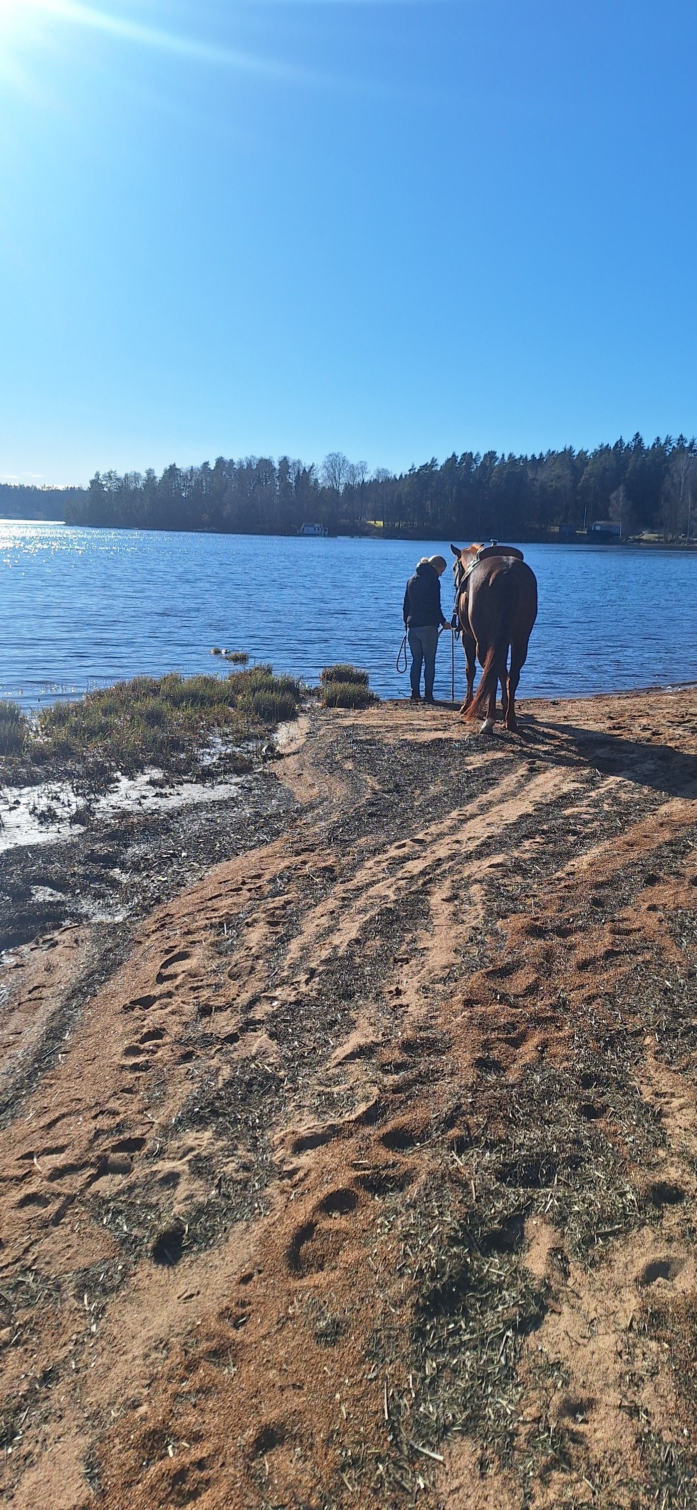 489845834_10236164435240129_7813616218087124778_n