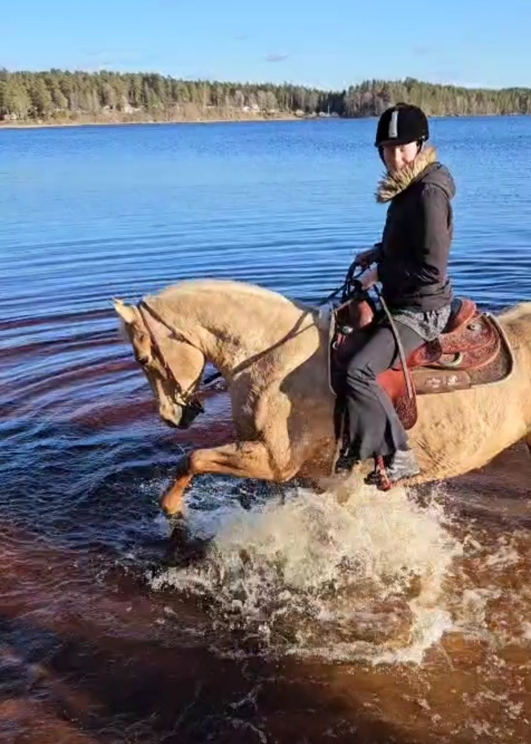 489888207_10236164140992773_5716233570145988799_n