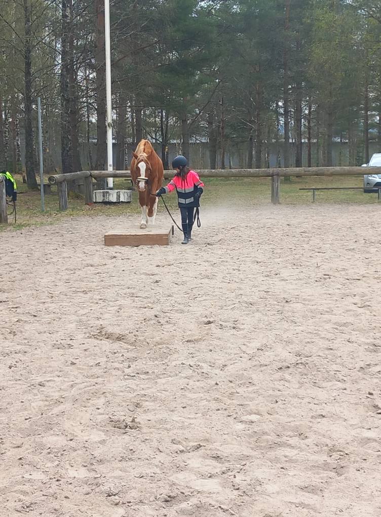 491695587_10163621250172873_7929369614680925725_n