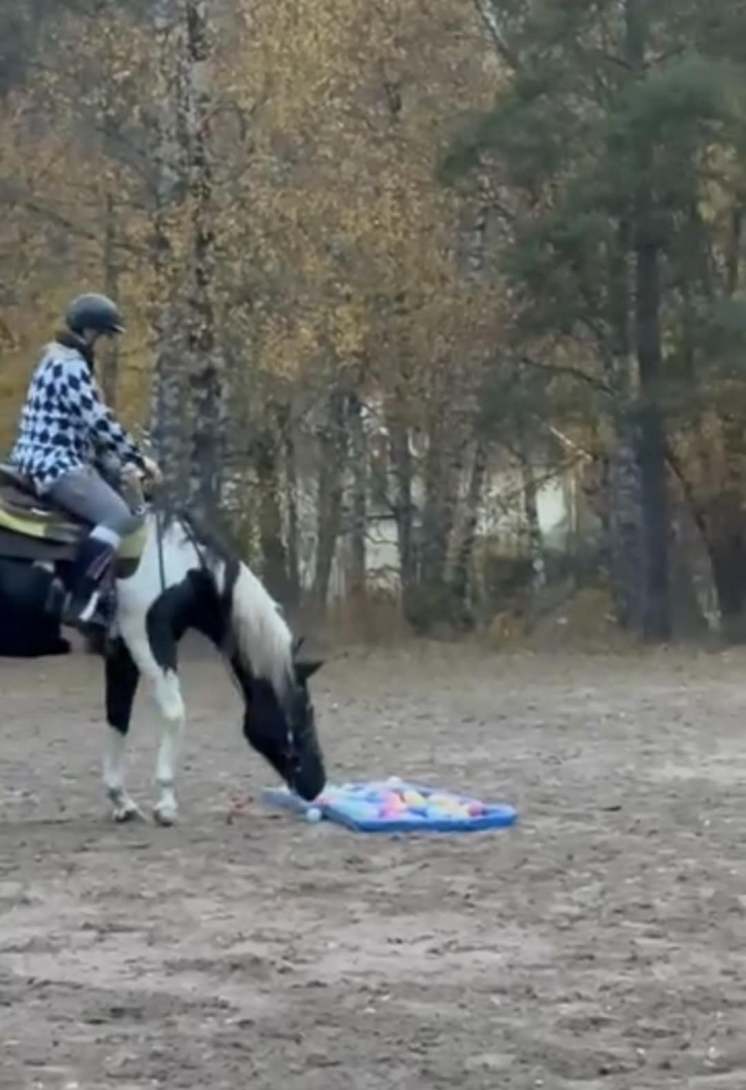 52975977-2d36-4cf8-a33c-1692c035838a