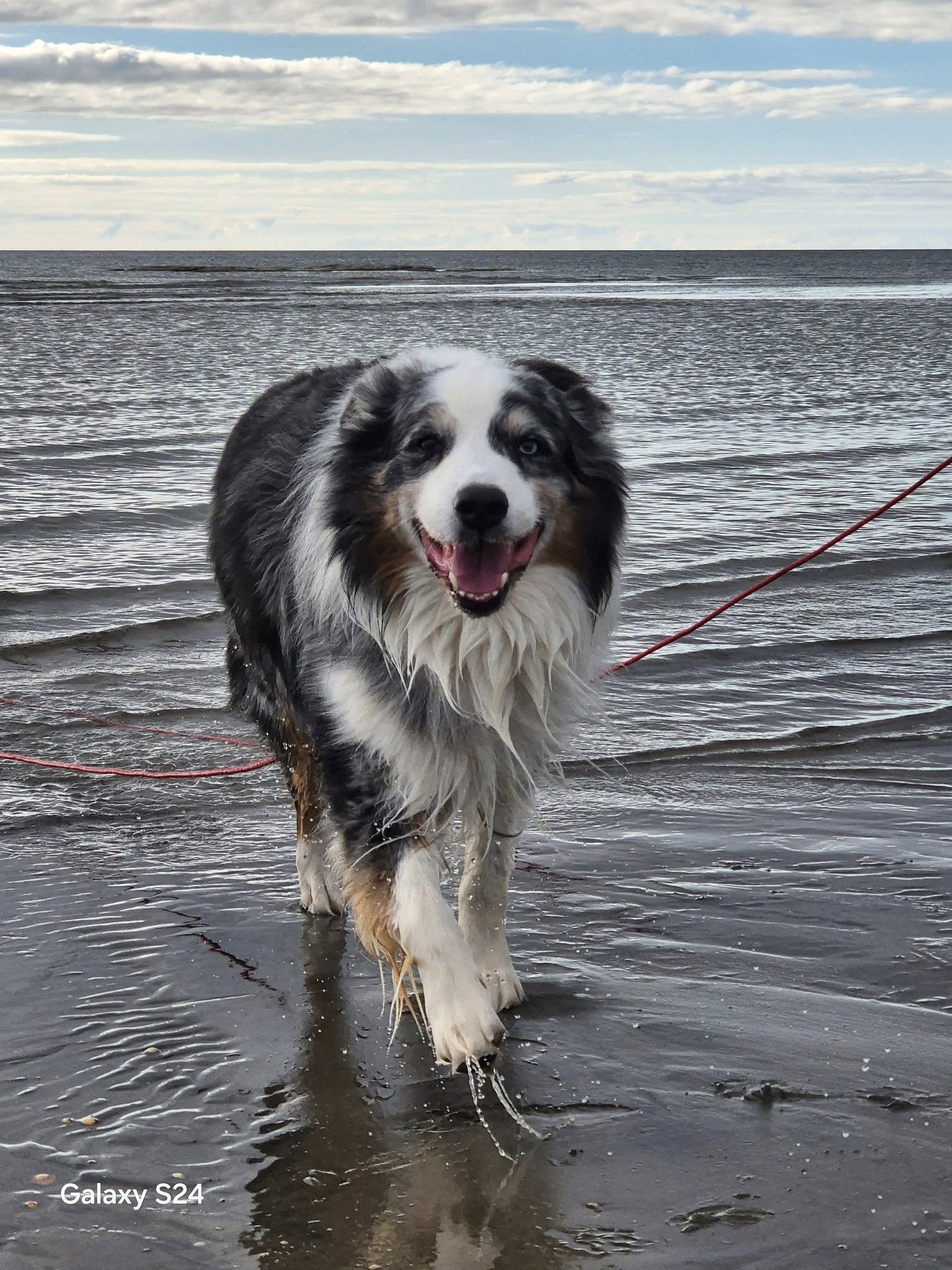 555751157_10238815779562080_2983717422134711891_n