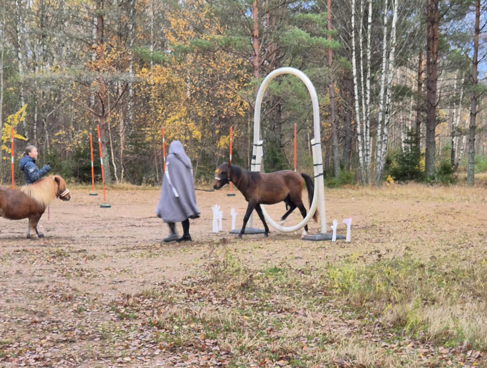 5bc0ae22-3c6f-4a99-869f-882d65f5b06f