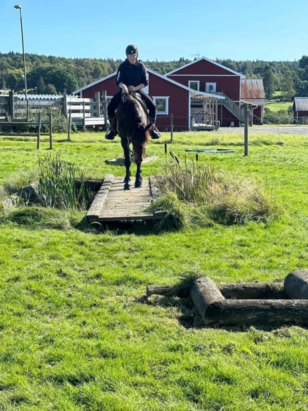 6642c52c-177b-4601-990b-503e38f6b708