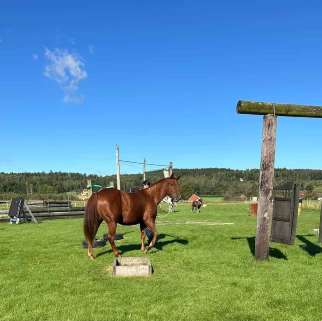 6de42b46-9749-47ba-9bfc-0891b3b75c06