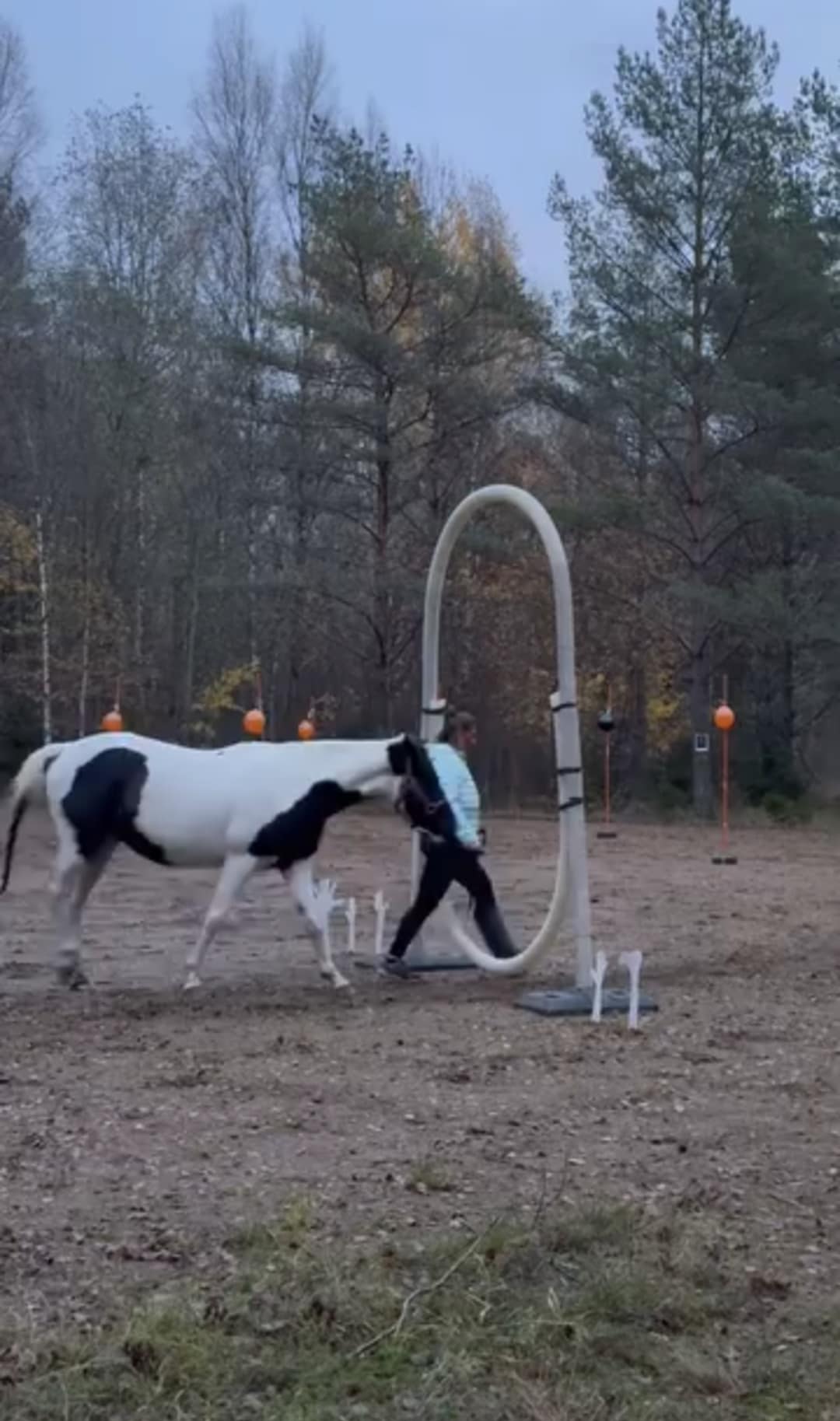 6ff9e07f-5651-496d-83d4-4bec0589628c