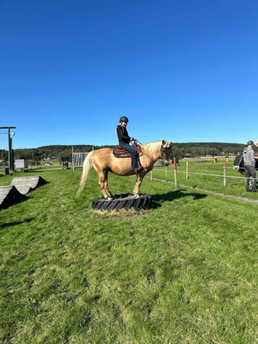 ab71d2a6-5a3e-4abc-9b8d-82b369c45649