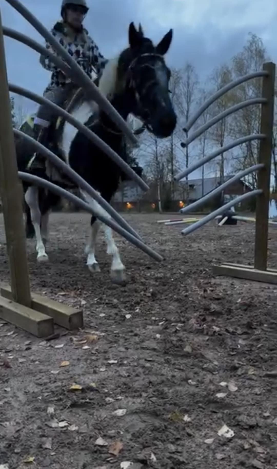 ae098201-8ed5-49f3-ac67-ab78e9cb92e6