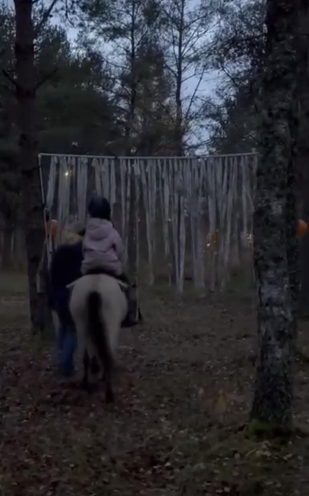 bc54a156-53f0-4831-90de-21510d52df0b