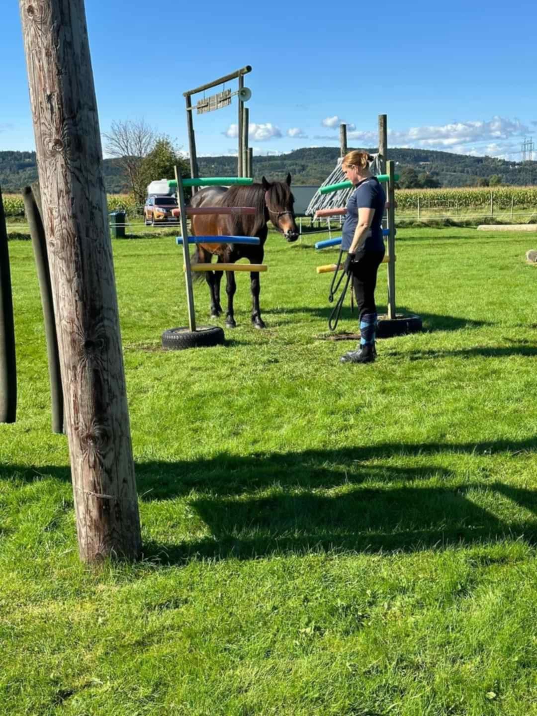 bd1c6a5d-6f1f-48e3-940c-585e94351699