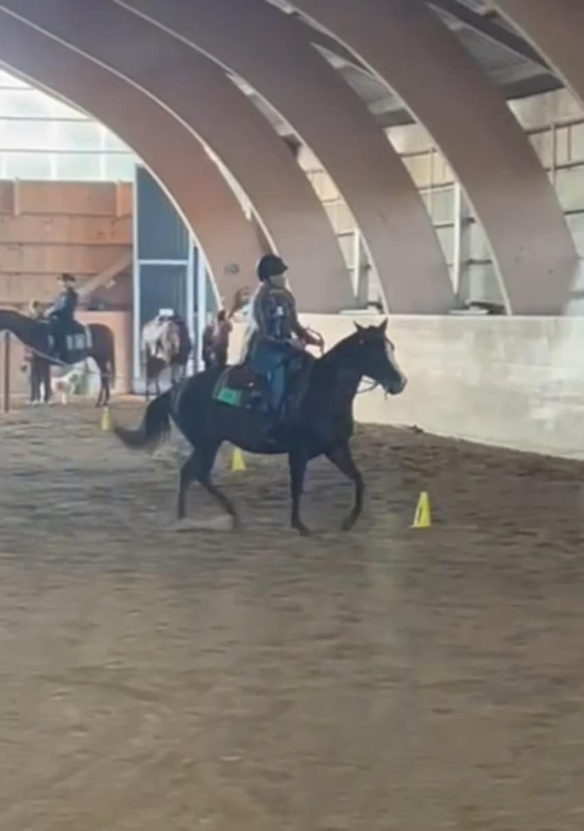 c17c4153-203a-4ac3-aaa5-d052866e21eb