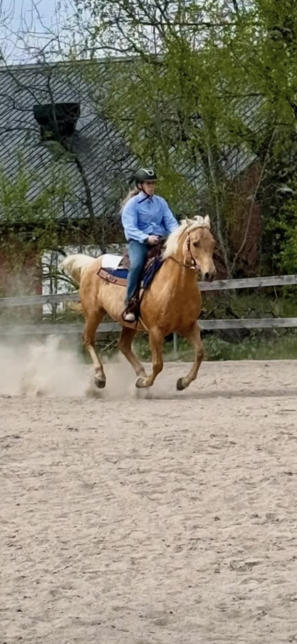 c6c1e63a-ff83-4aae-8043-fa0a276e9b3d