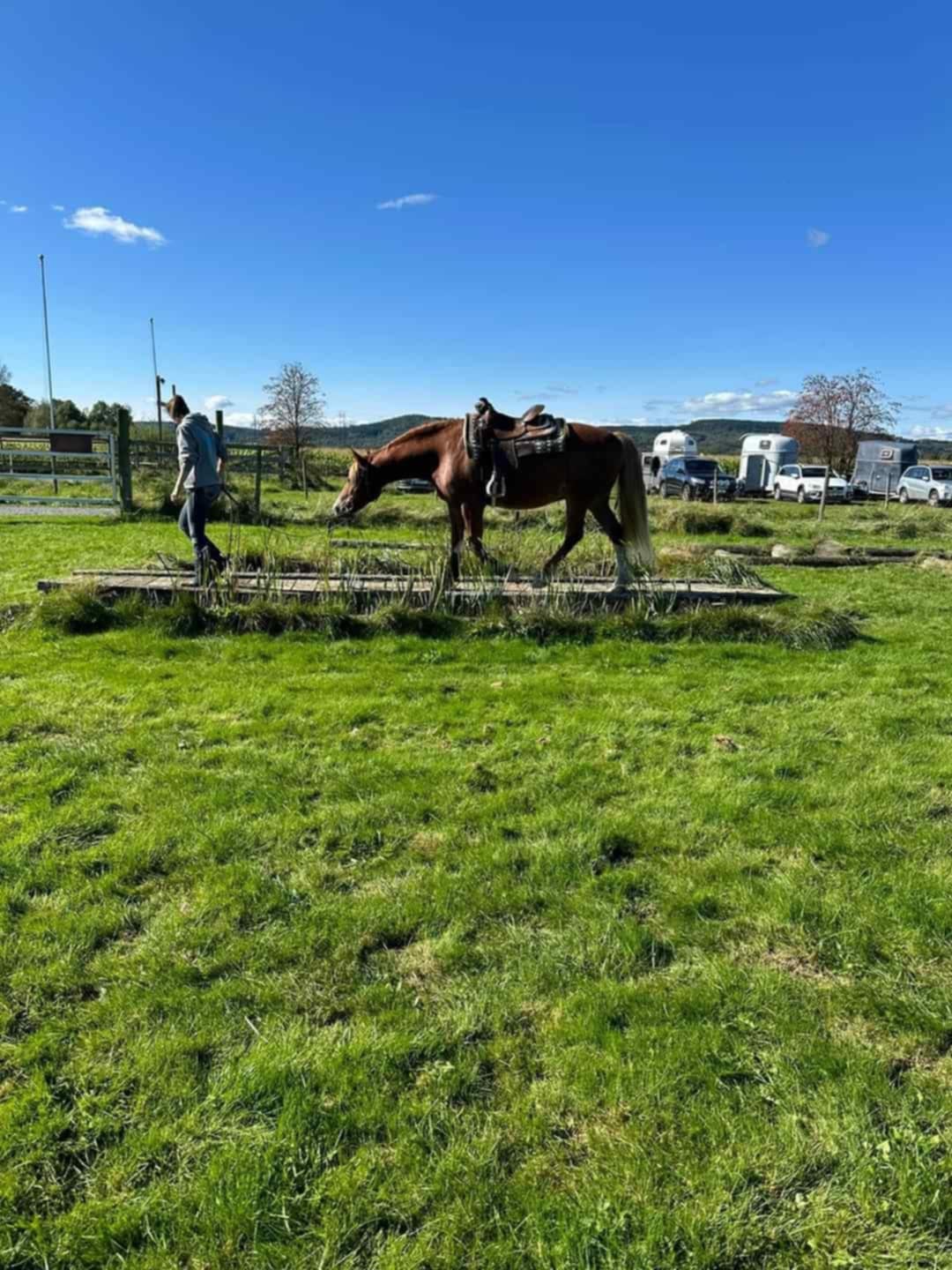 d3476625-f184-4267-b8c0-3050729ca71f