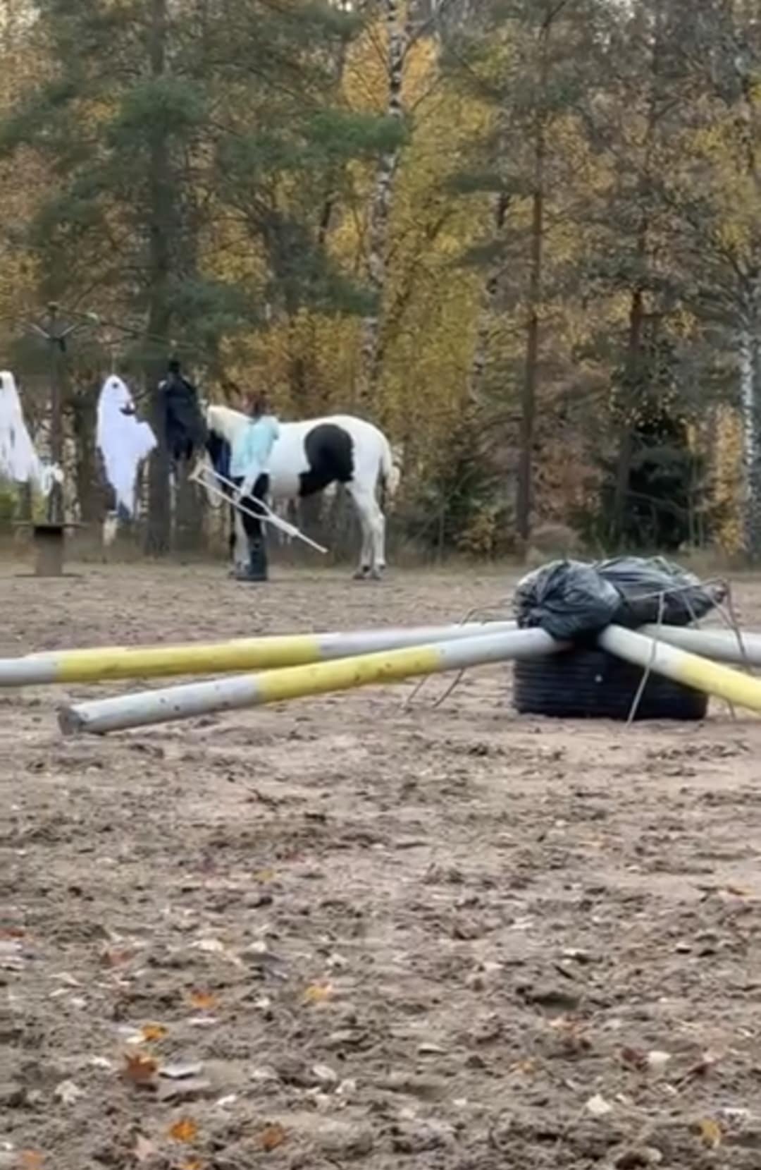 d8abbc65-e170-423c-baa1-fcf8d4323b1a