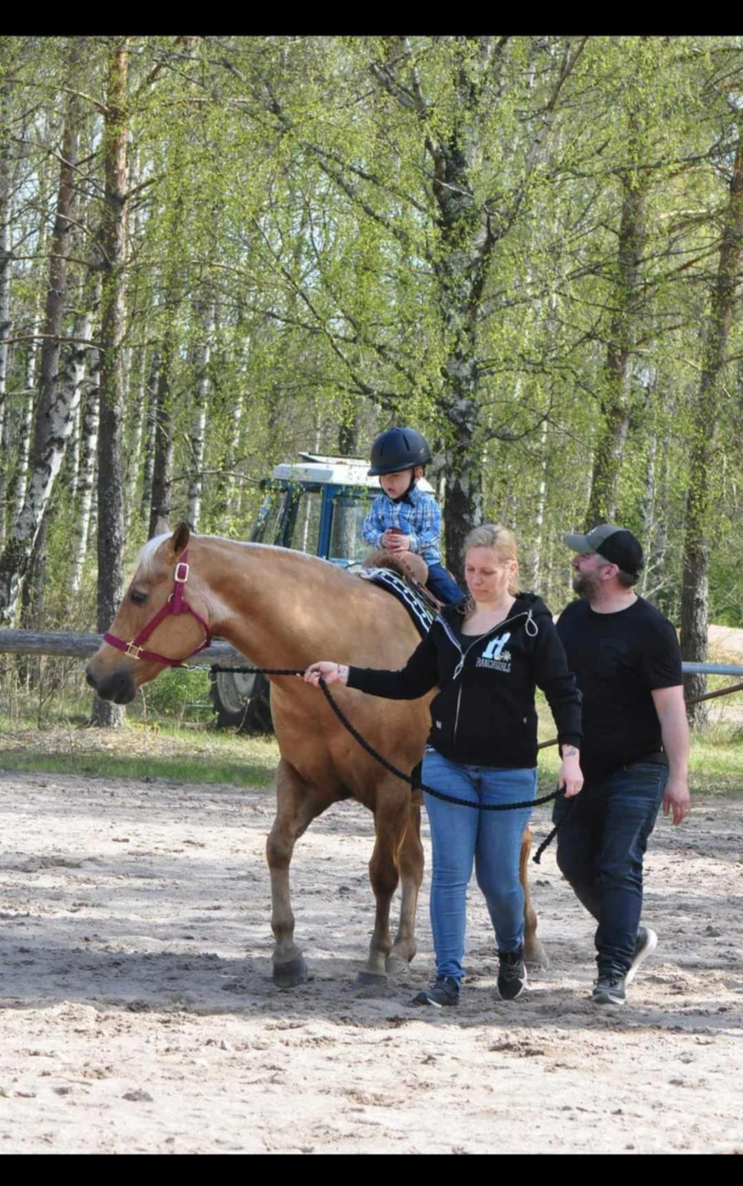 dd3517ca-c808-4e71-802d-a6054b1feb7e