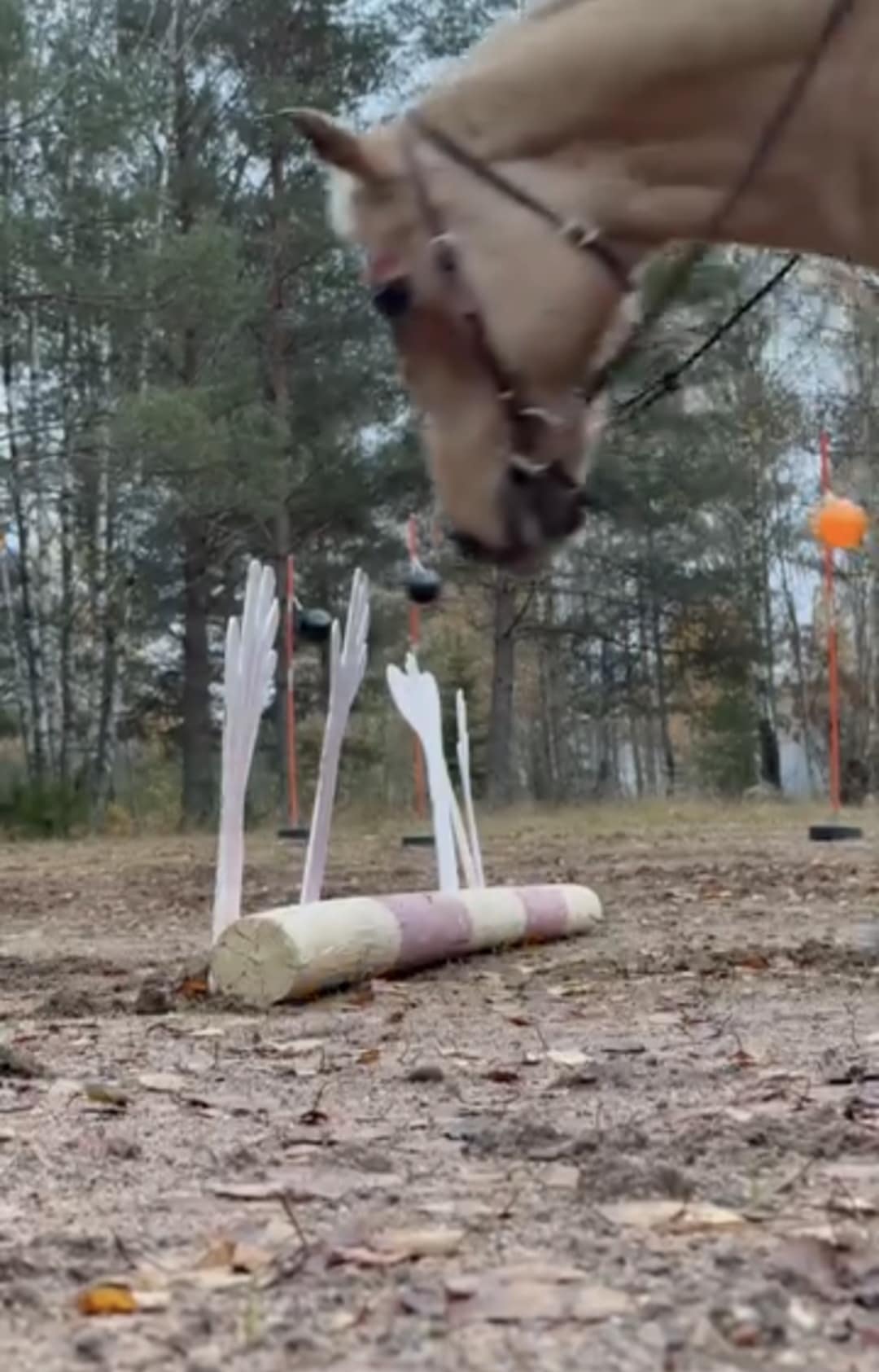 e8ced92e-e2e1-46a3-8a01-132b0f72e1bf