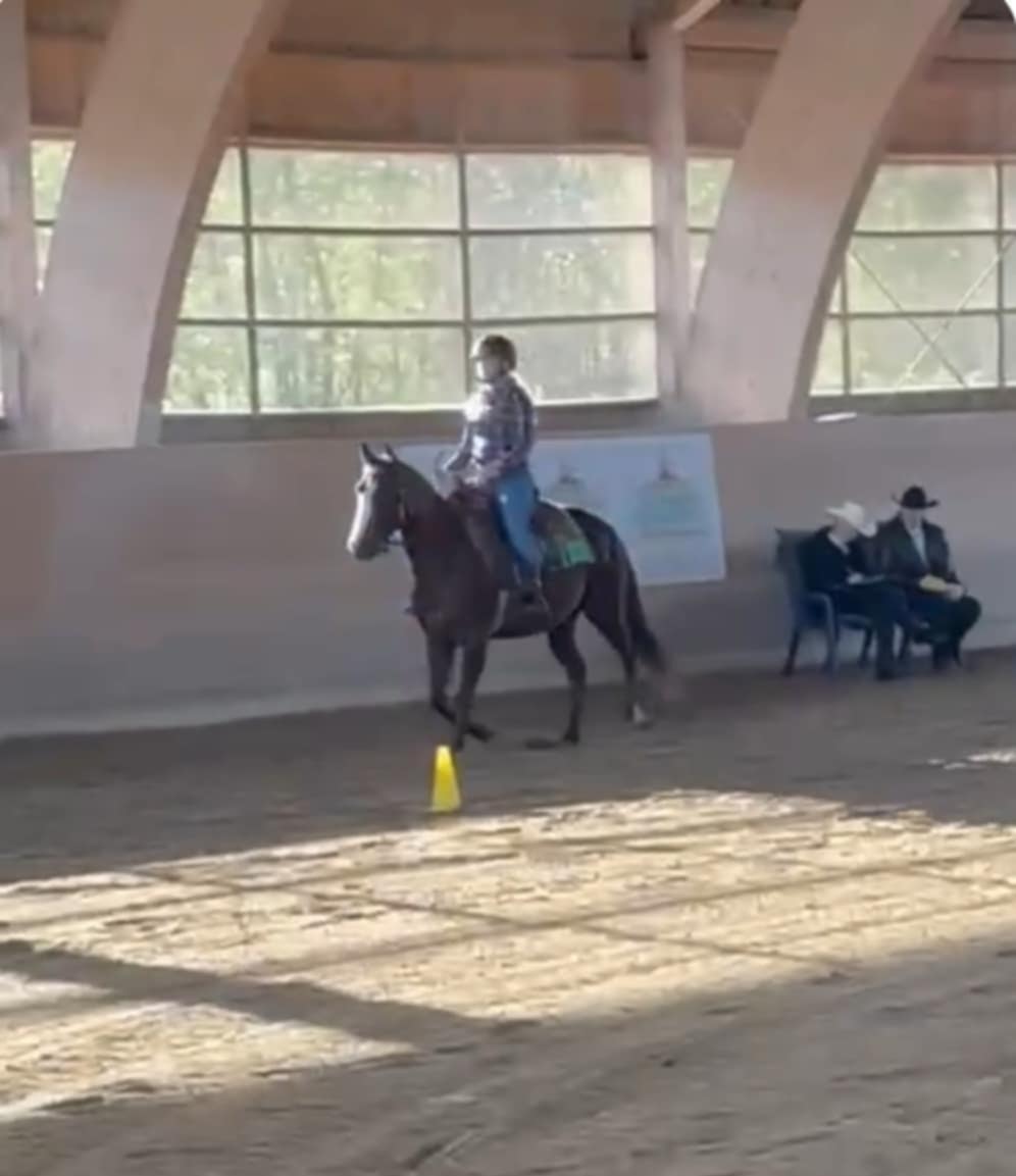 ebffd75f-0b17-41f9-9e0e-92d93dae879c