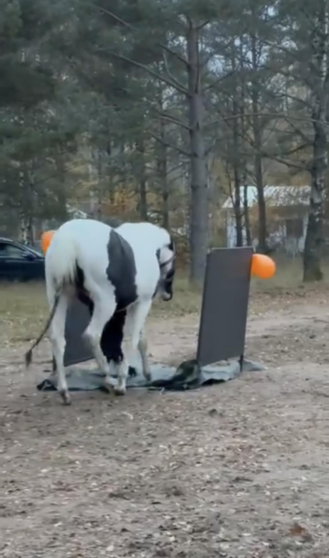 f2574ded-e9c0-463a-a211-167c37a19d83