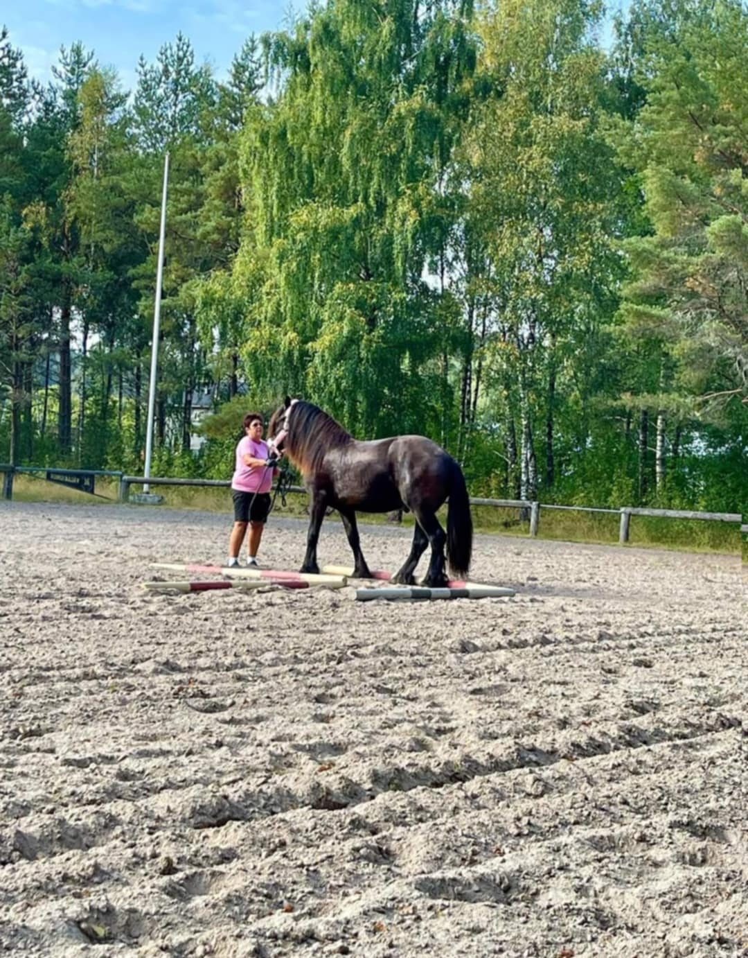 f2f46d59-891b-4df4-a4a9-71703af8ee3e