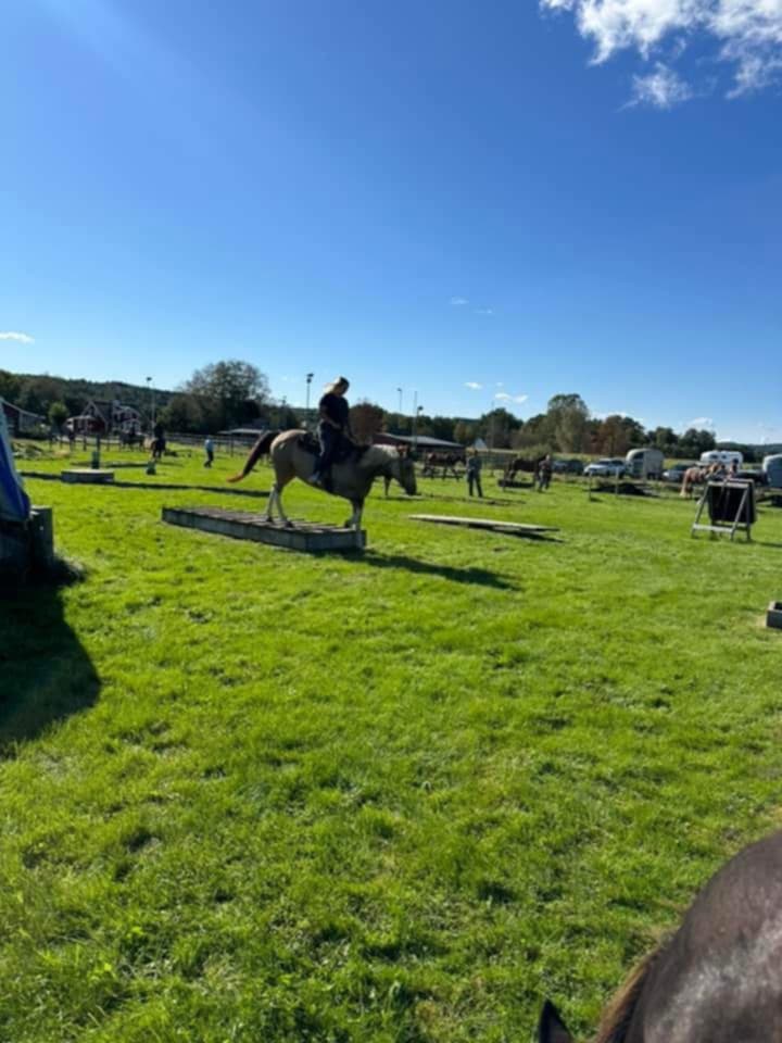 f2fc00f4-1d28-4fb3-868a-0322d7b38083