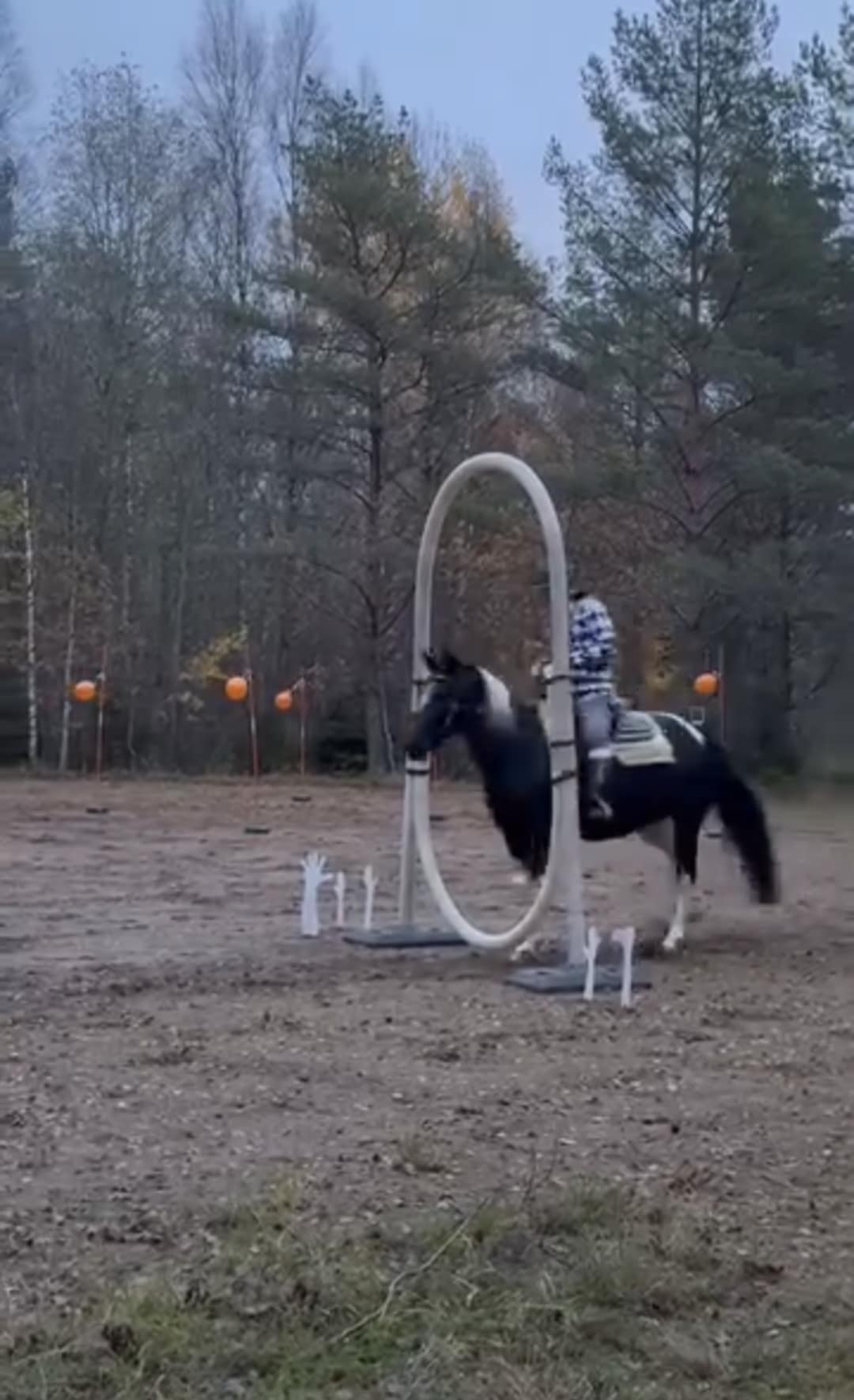 fcf88128-e873-4f03-a820-015f3e6fa6d8