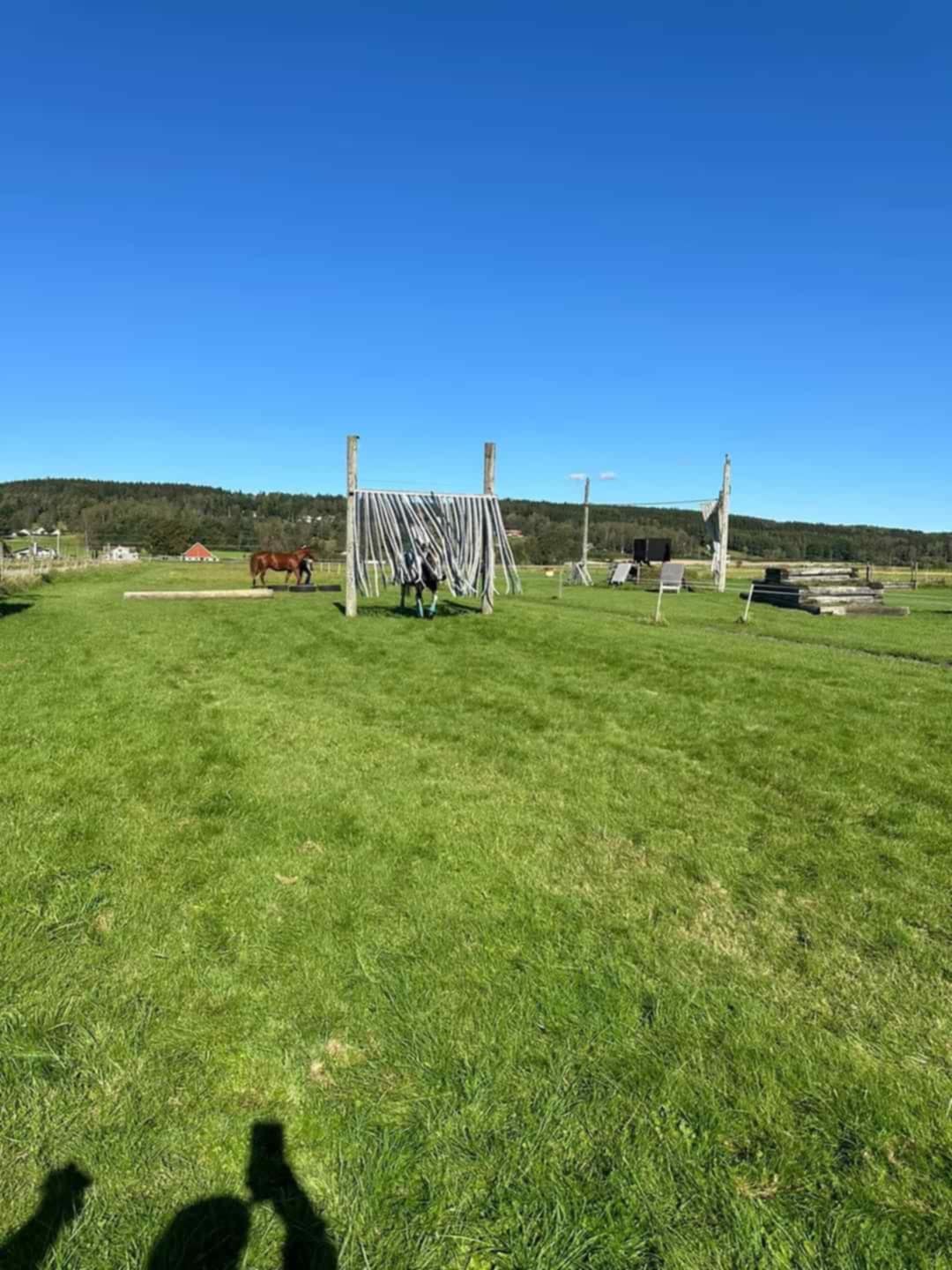 ff1e599c-74a3-419f-8d62-f5673d6adb10