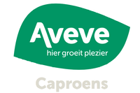 Aveve Logo bis