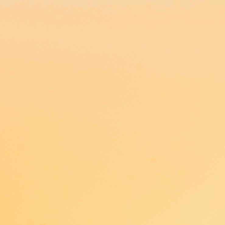 unsplash_9-fWN3MsWss