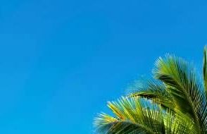 Tropiske Hawaii