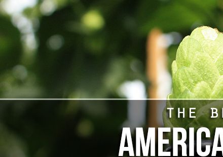 The 20 Best American IPAs