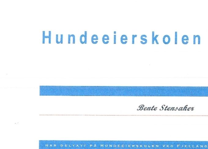 Kompetansebevis 