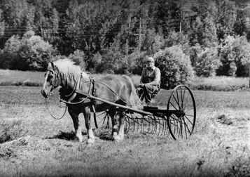 Folke i Môllbacken Glava