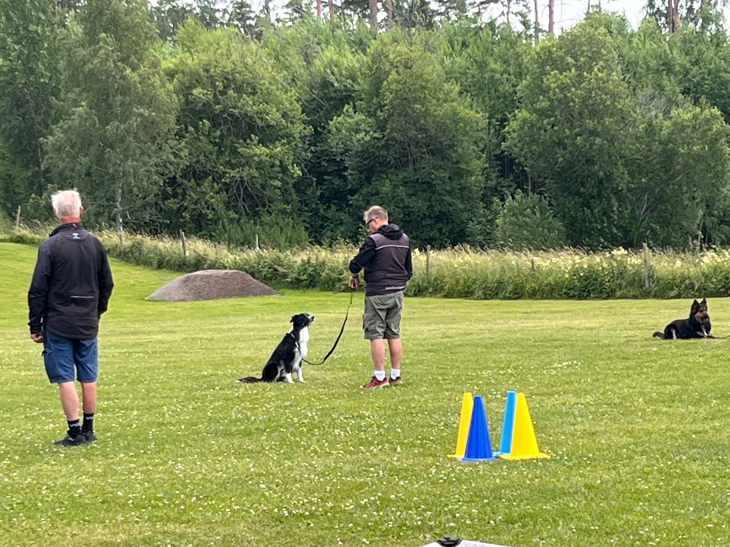 Åmåls brukshundklubb galleri bild 1