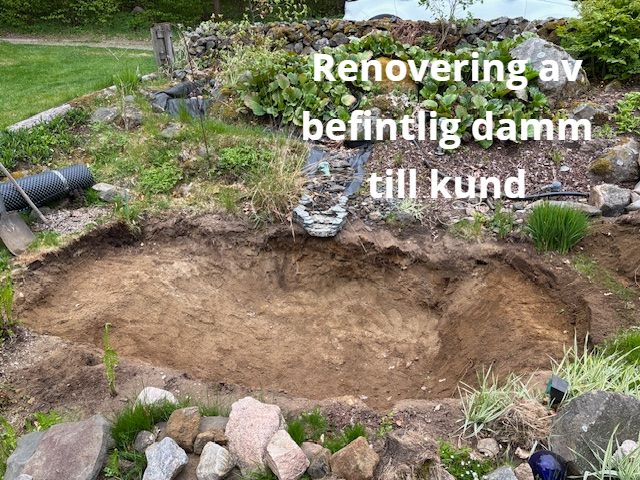 älm3