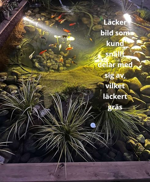 kund 2