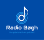 Radio Bøgh