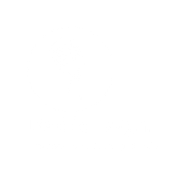 Radio Bøgh
