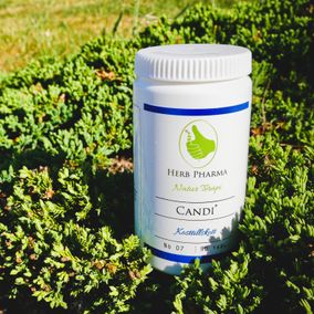 CANDI